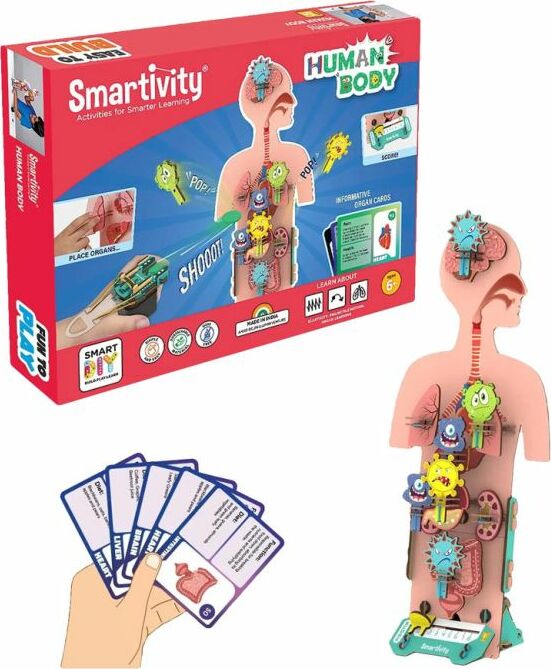 Smartivity: Human Body