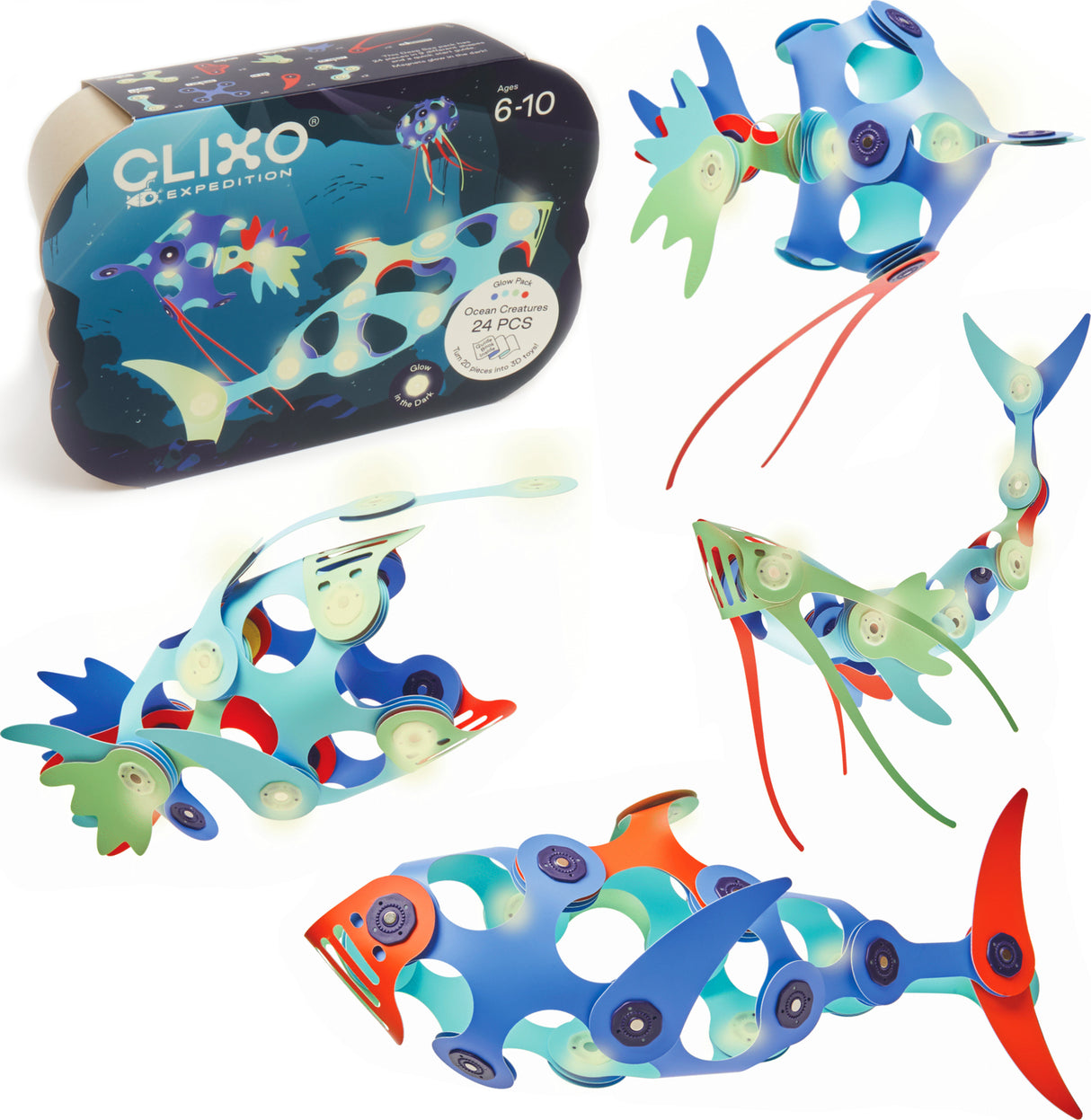 Ocean Creatures