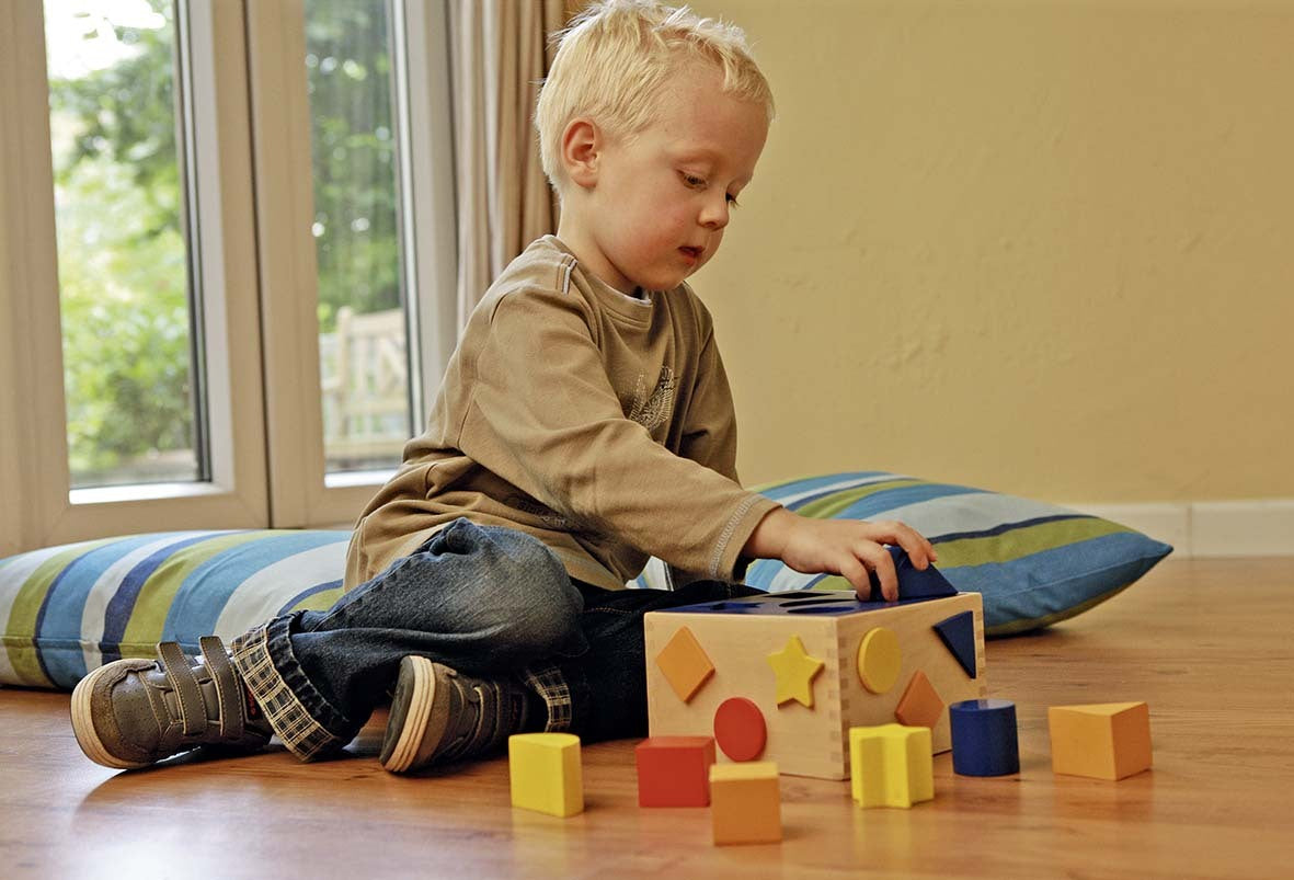 Wooden Sort Box - 10 Blocks