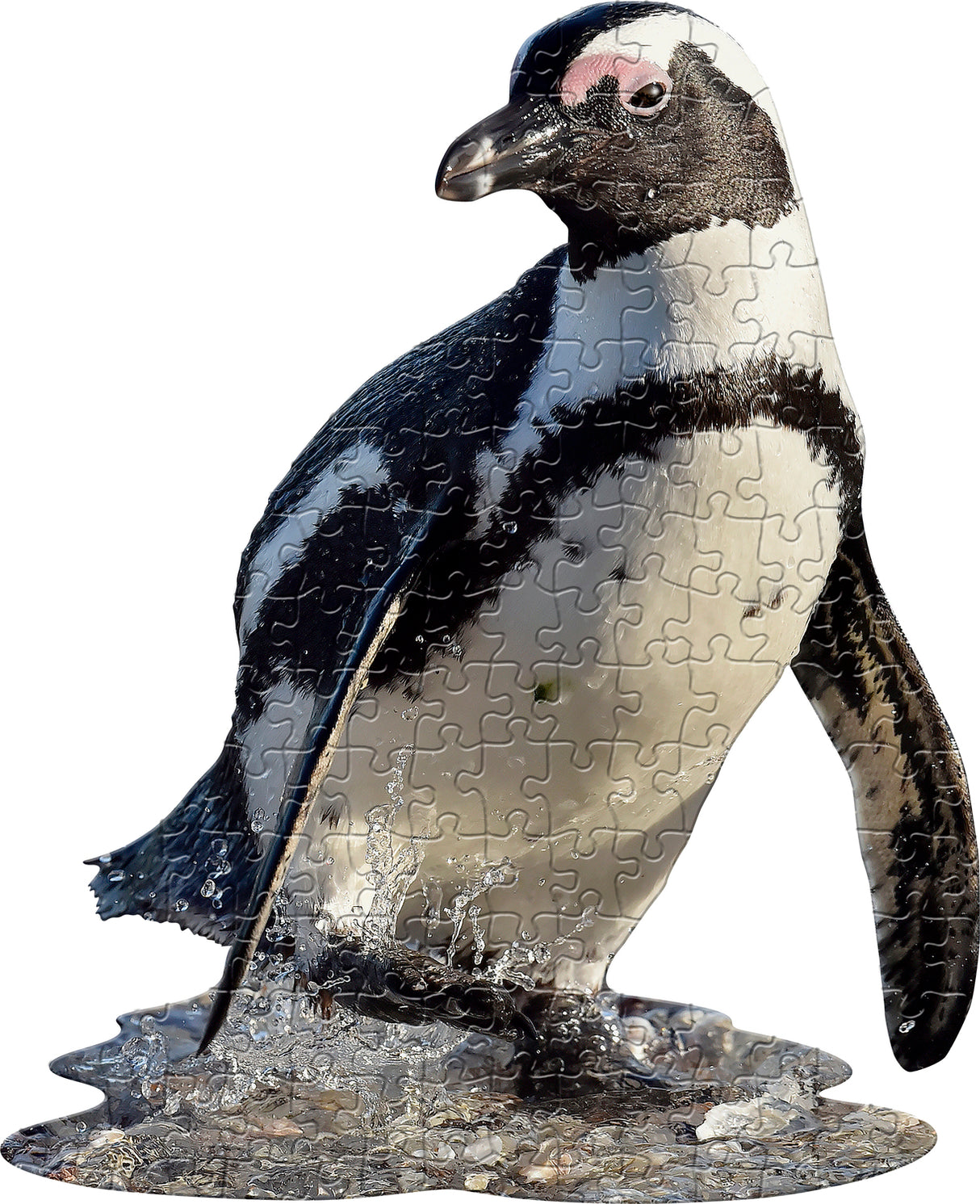 Madd Capp Puzzle Jr. - I Am Lil Penguin
