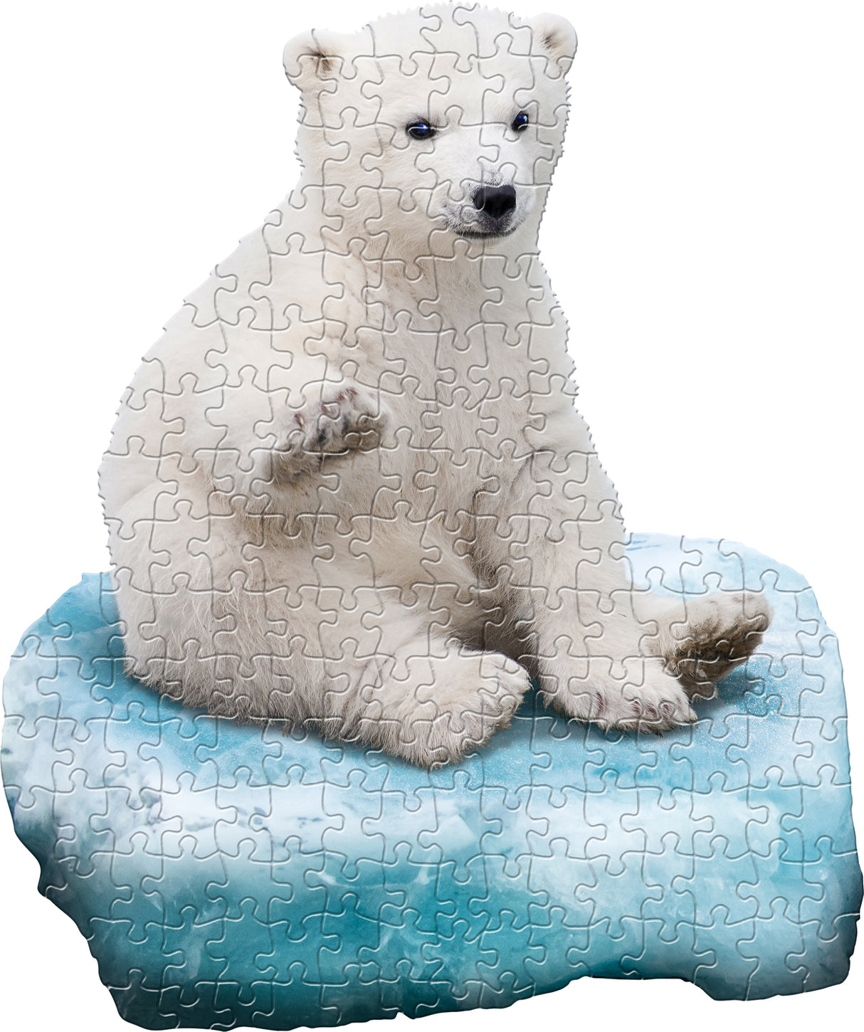 Madd Capp Puzzle Jr - I Am Lil Polar Bear