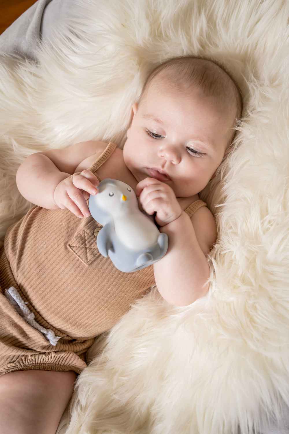 My First Arctic Penguin Natural Organic Rubber Teether, Rattle & Bath Toy