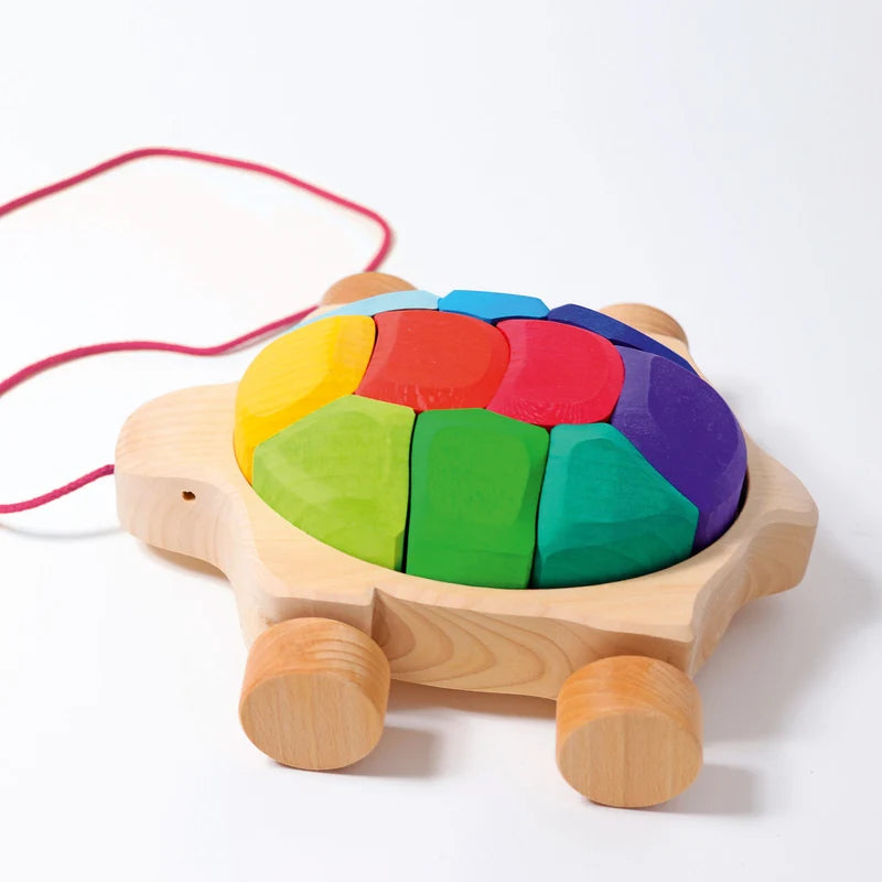 Rainbow Turtle