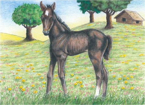 Cube Puzzle - Farm Animals