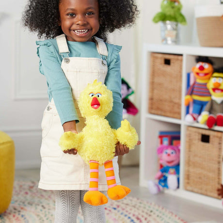 Sesame Street Big Bird, 14 In