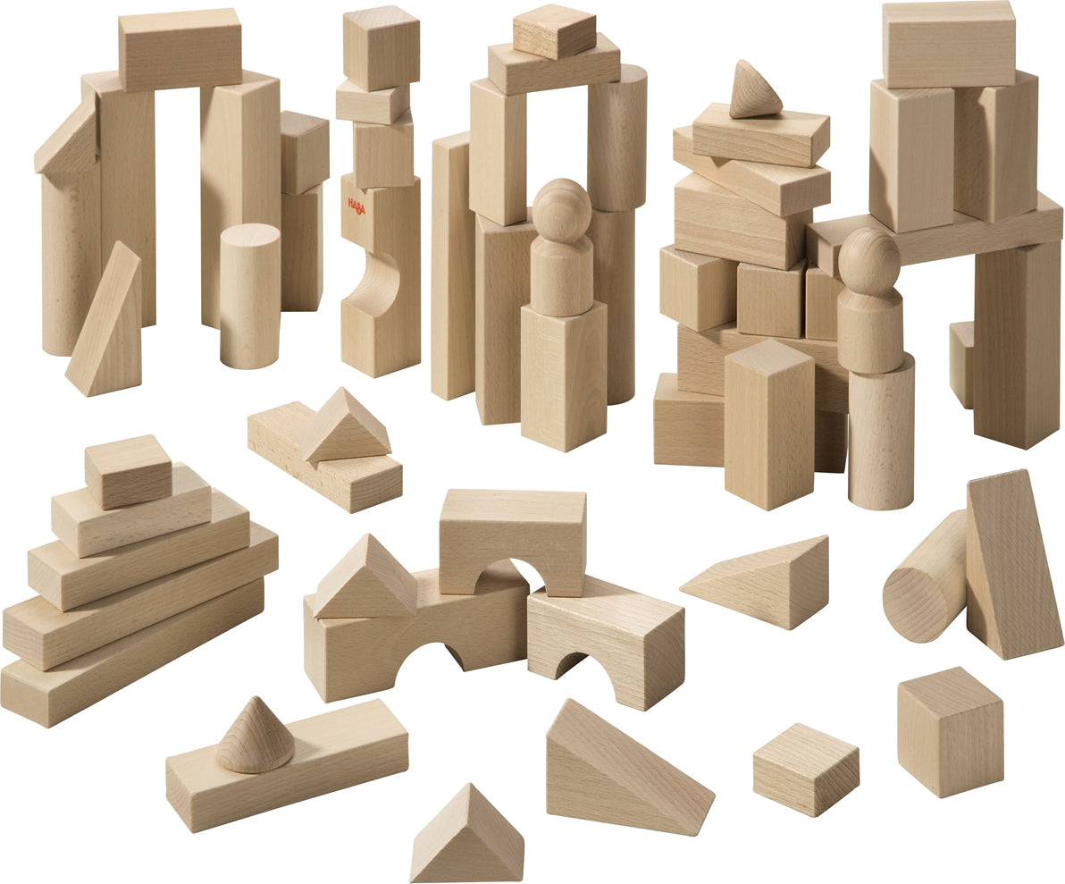 Basic Building Blocks (lg Set)