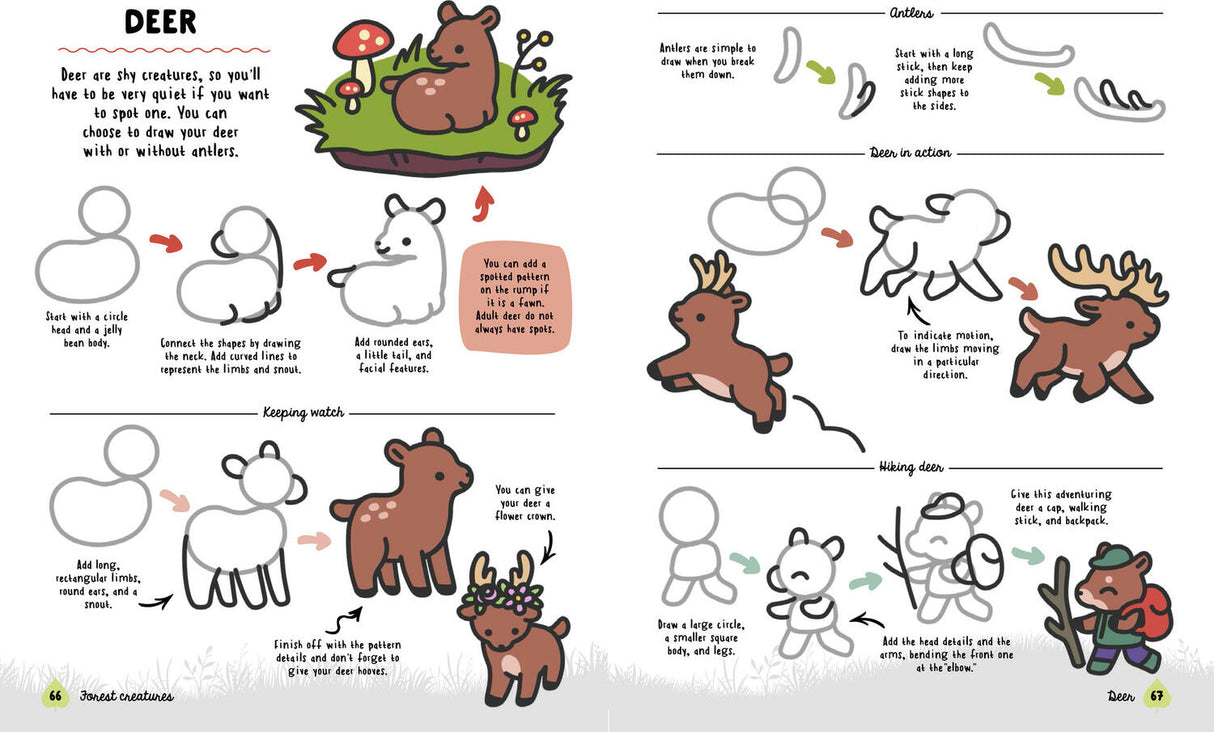 How to Draw Cute Woodland Friends