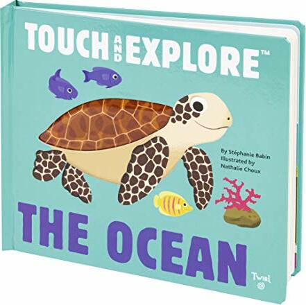 Touch and Explore: The Ocean