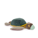 Large Turtle