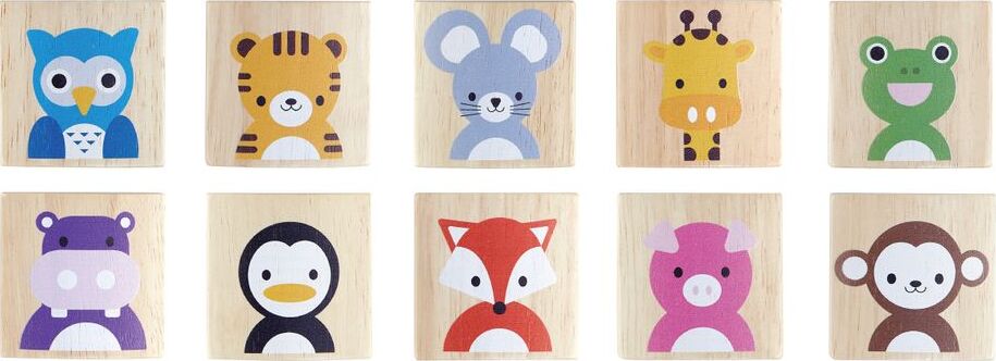 Animals Memo