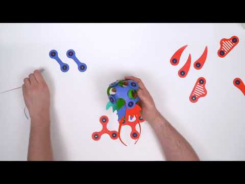 Deep Ocean Creatures