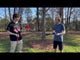 Galaxy Juggle Sticks