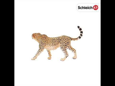 Cheeta Female Safari Animal TOY