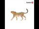 Cheeta Female Safari Animal TOY