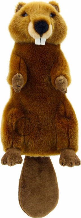 Long-Sleeved Glove Puppets - Beaver