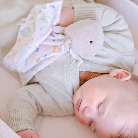 Whale Comforter 
