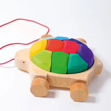 Rainbow Turtle