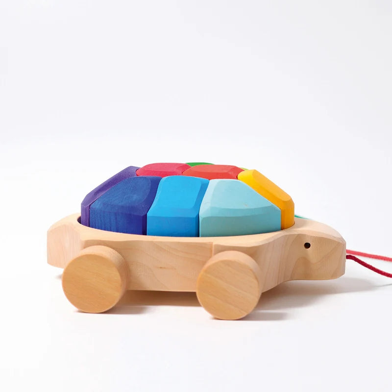 Rainbow Turtle